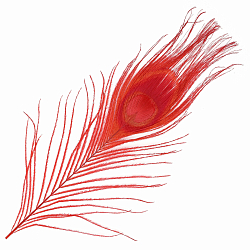 AR204-2 Перо павлина декоративное 25-30см, 10шт/упак