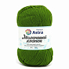 Пряжа Astra Premium 'Молочный хлопок' (Milk Cotton) 50гр 100м (+/-5%) (50%хлопок, 50%молочный акрил) 14 зеленый